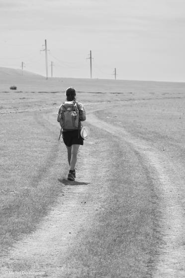 voyage en mongolie