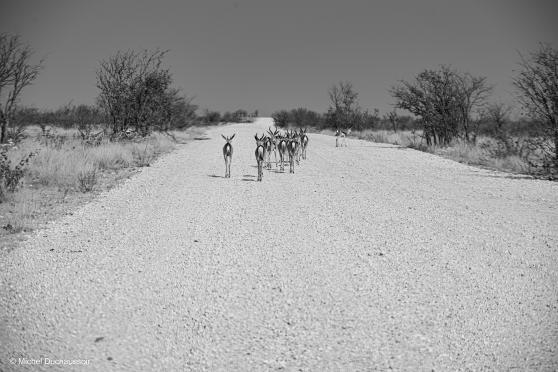 road trip Namibie