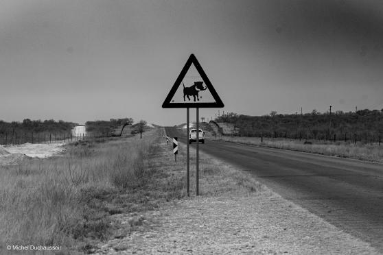road trip Namibie