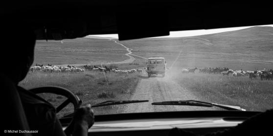 voyage en mongolie